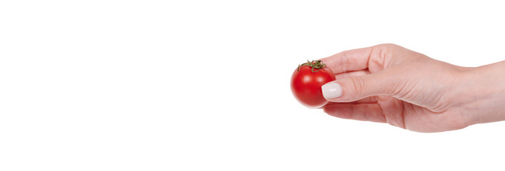 Hand with red round tomato, fresh and juicy vegetable. Isolated on white background, copy space template, banner.