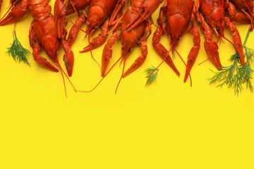 Delicious boiled crayfishes and dill on yellow background, flat lay. Space for text