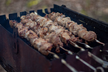 BBQ in the woods or meat cooked outdoors 