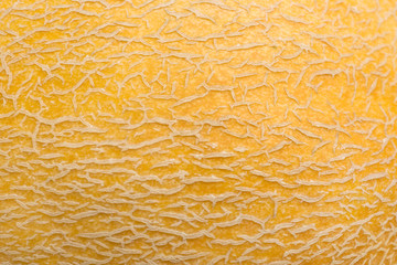 Whole tasty ripe melon as background, closeup