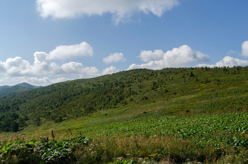 Fototapeta na wymiar Bieszczady panorama z połoniny 