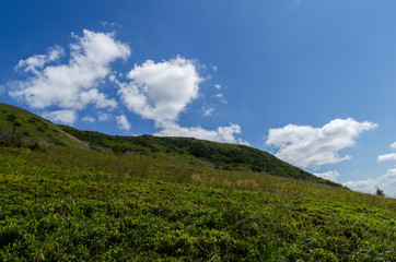 Tarnica - Bieszczady 