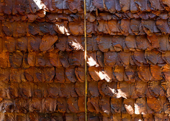Autumn Leaf with bright
