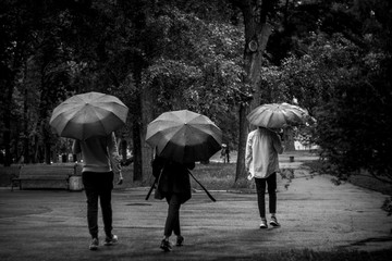 three young people are walking with umbrellas in the park during the rain. black and white photo