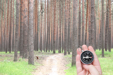 Naklejka premium round compass in hand on pine forest background as symbol of tourism with compass, travel with compass and outdoor activities with compass