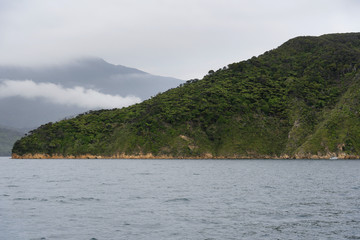 A foggy day in the Marlborough Sounds, in the South Island of New Zealand