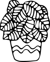 Vector illustration of a potted house plant in the Doodle style. The concept of comfort, greenery, home decor, ecology. Can be used for fabric, books, textiles, web, Wallpaper