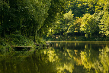 lake in the forest