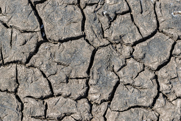 Cracked soil texture