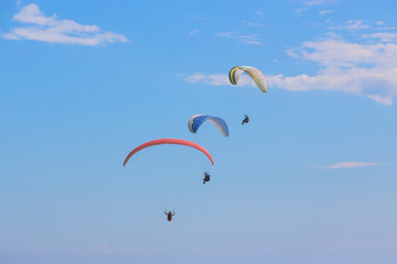 Parachutists on paragliders fly