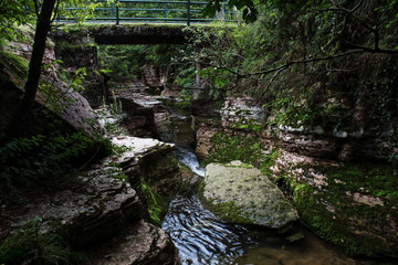 waterflowig in the forest