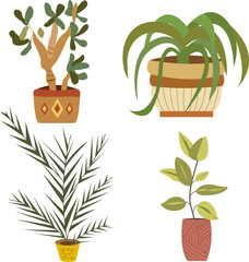 Vector Set of indoor plants in pots
