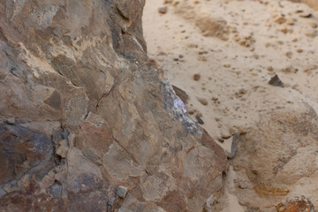 
Brown stone texture, sandy background