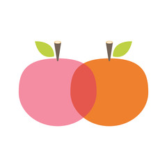 Peach vector. peach on white background.