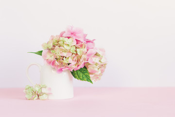 Romantic bouquet of pink Hydrangea flowers in a jar on a pink background.