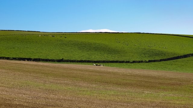 Scene with hills, grass and blue sky