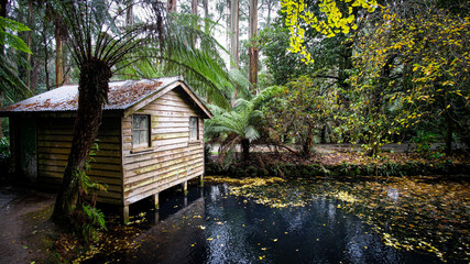 old wooden boatshed on pond