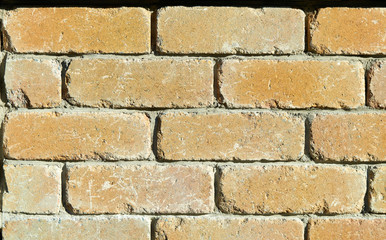 Fototapeta premium Ziegelsteinmauer. Sonnenseite.