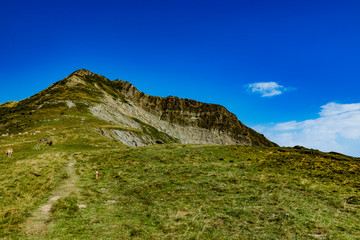 Fototapeta na wymiar Paisajes de montaña durante la subida al monte Lakartxela de navarra