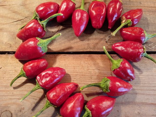 hot red pepper in the shape of a heart