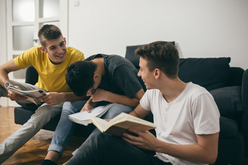 boys in living room studying together