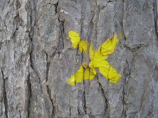 A yellow cross on a tree