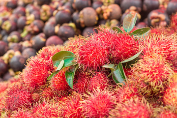 Red rambutan background.