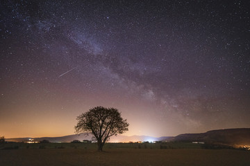 Naklejka na ściany i meble Milky Way with a single tree in Poland with a view to the mountains