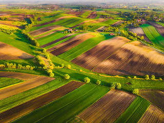 Nida Valley called Ponidzie in spring sunset time, drone aerial photos of fields.