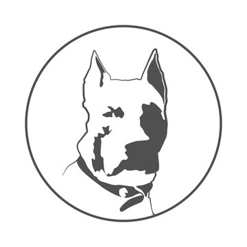Pitbul silhouette. American staffordshire terrier dog icon