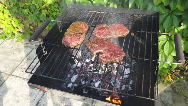 Holzkohlegrill grill Glut Flamme grillen Fleisch Feuer Holzkohle Rost Hei&szlig;