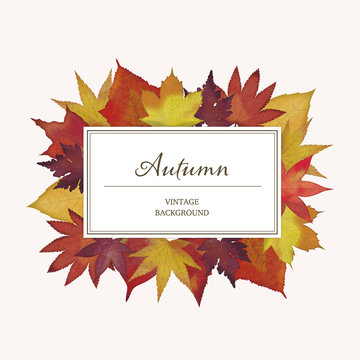 Square frame with red autumn leaves, Watercolor Background, Vector