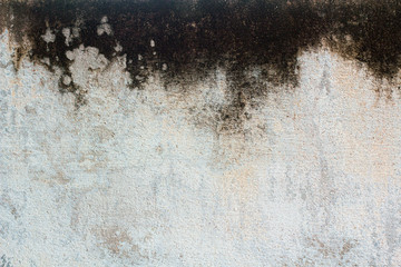 Abstract texture wall or concrete floor contaminated with fungi that look like Monochrom or vintage...