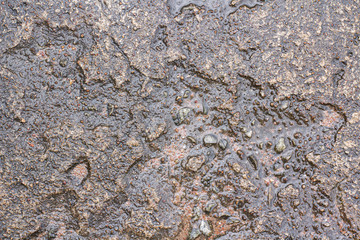 Abstract texture and rough texture. Wet wet cement walls or floors are used as background images.