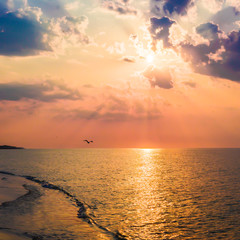 The concept of travel and rest at the seaside, sea waves on the background of the shoreline and sunset