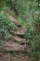 Evasion 
