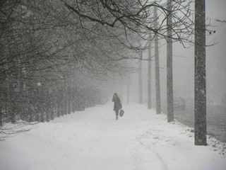 Kobieta idąca w wichurze po zaśnieżonym chodniku - obrazy, fototapety, plakaty