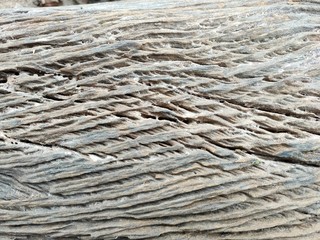 The wood has natural streaks.