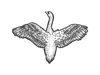 Flying swan bird sketch raster illustration