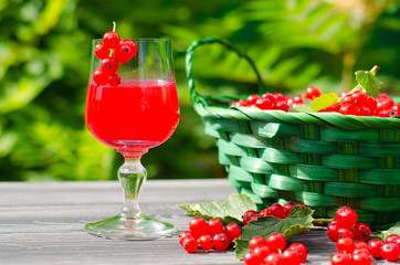 A fresh red currant drink and a basket of juicy berries on a wooden table in the green garden. Summer healthy food, detox and new crop concept.