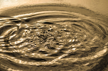 Ripples on the surface of golden water close-up