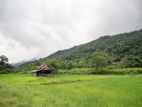 Nan, Thailand, Small hut in green rice terrace near stream. Village in valley with fog and mist.