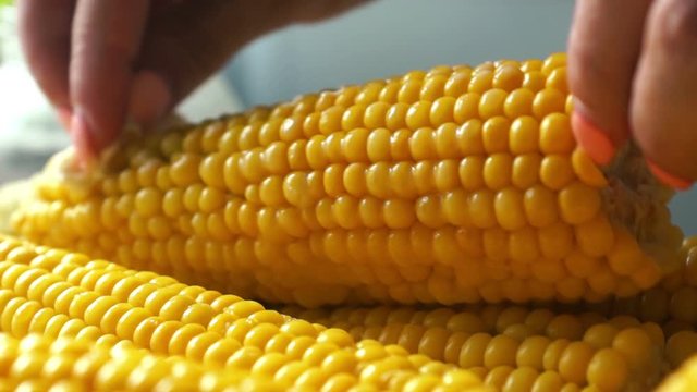 Cooking corn closeup. Female hand smears freshly cooked corn with butter. Selective focus, shallow depth of field
