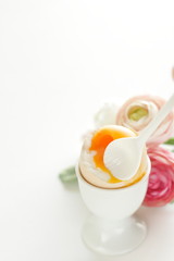 soft boiled egg in egg stand for breakfast 