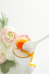 soft boiled egg in egg stand for breakfast 