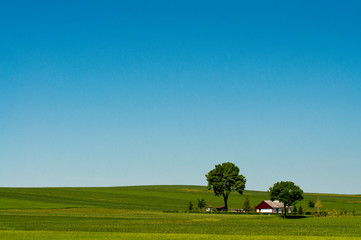 Wiosna © arnoldes