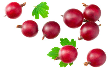 red gooseberry with leaves isolated on white background. Top view.