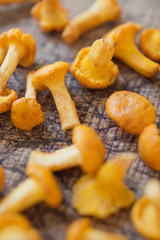 Raw chanterelle mushrooms on wooden background