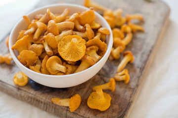Raw chanterelle mushrooms on wooden background