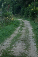 Obraz premium Passeggiando in montagna seguendo il sentiero